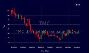 TMC Stock: A Comprehensive Guide for Investors in 2025