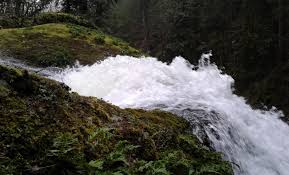 Sweeney Falls: A Hidden Gem for Nature Lovers and Adventure Seekers Sweeney Falls: A Hidden Gem for Nature Lovers and Adventure Seekers