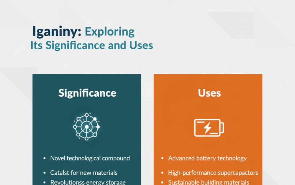 Iganiny: Exploring Its Significance and Uses