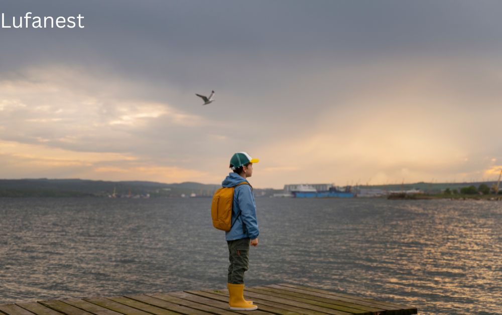 Lufanest: Exploring a Calm and Emerging Concept with Meaning Lufanest: Exploring a Calm and Emerging Concept with Meaning